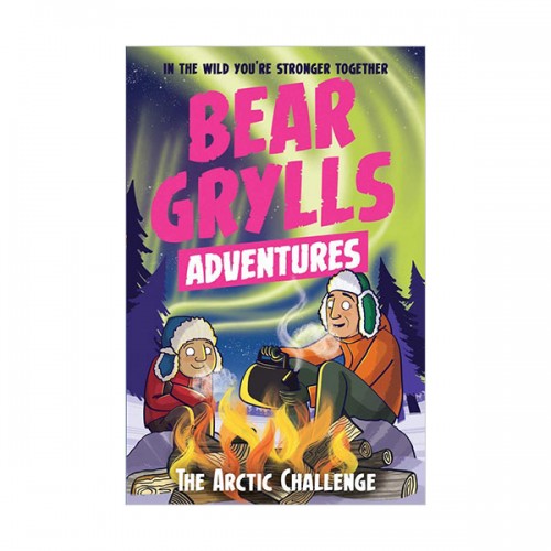 A Bear Grylls Adventure #11: The Arctic Challenge (Paperback, 영국판)