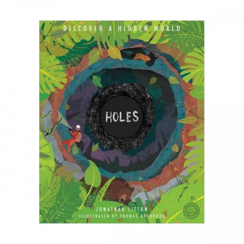 Holes : Discover a Hidden World (Hardcover, 영국판)