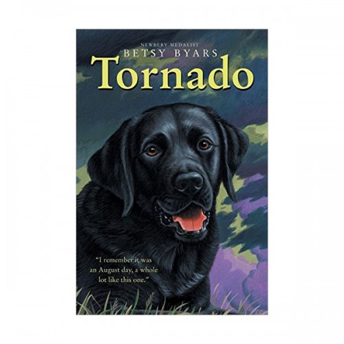 Trophy Chapter Books : Tornado (Paperback)