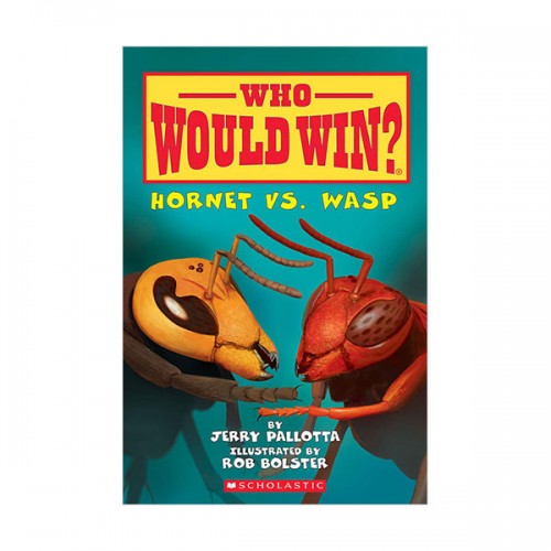 Who Would Win? : Hornet vs. Wasp (Paperback)