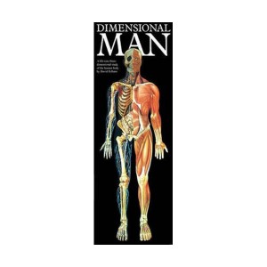 Dimensional Man