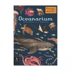 Oceanarium : Welcome to the Museum (Hardcover)
