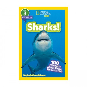 National Geographic Kids Readers Level 3 : Sharks! (Paperback)