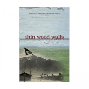 Thin Wood Walls