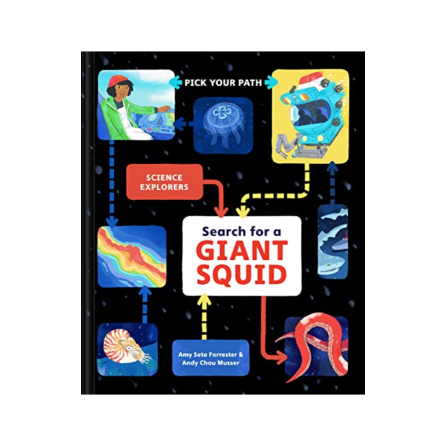Search for a Giant Squid : Pick Your Path
