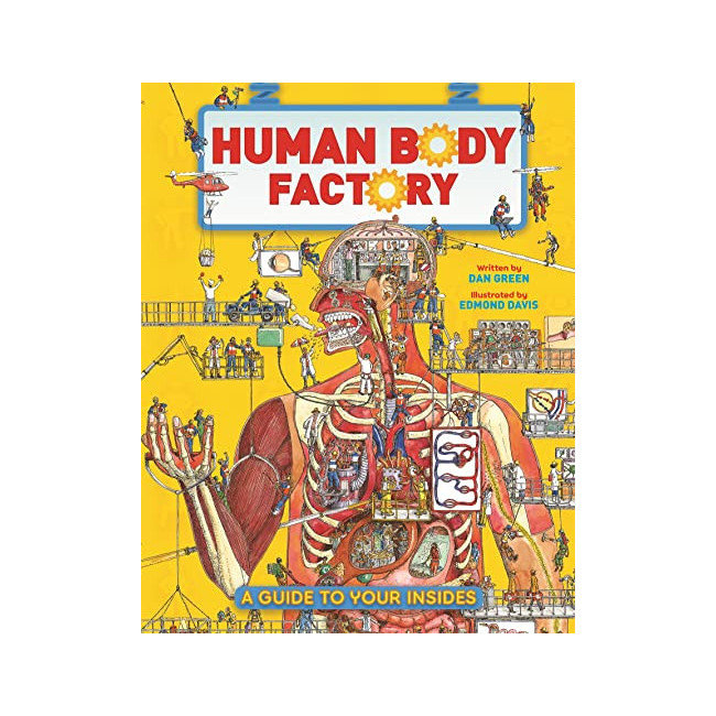 The Human Body Factory: A Guide To Your Insides