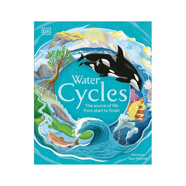 DK Life Cycles : Water Cycles 
