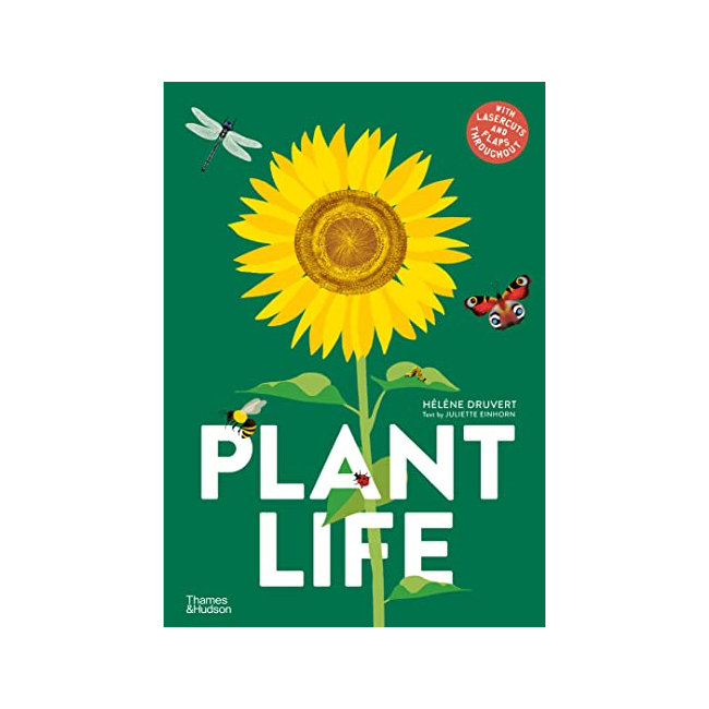 [�ĺ�:B��]Plant Life