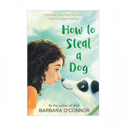 [ĺ:B] How to Steal a Dog
