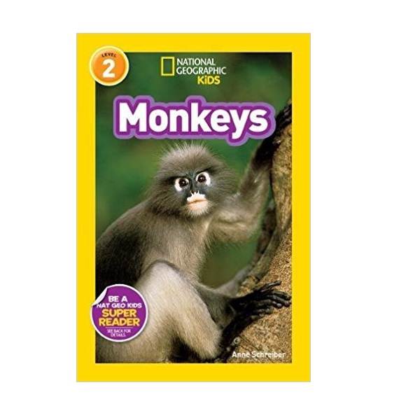 [�ĺ�:B��]National Geographic kids Readers 2 : Monkeys