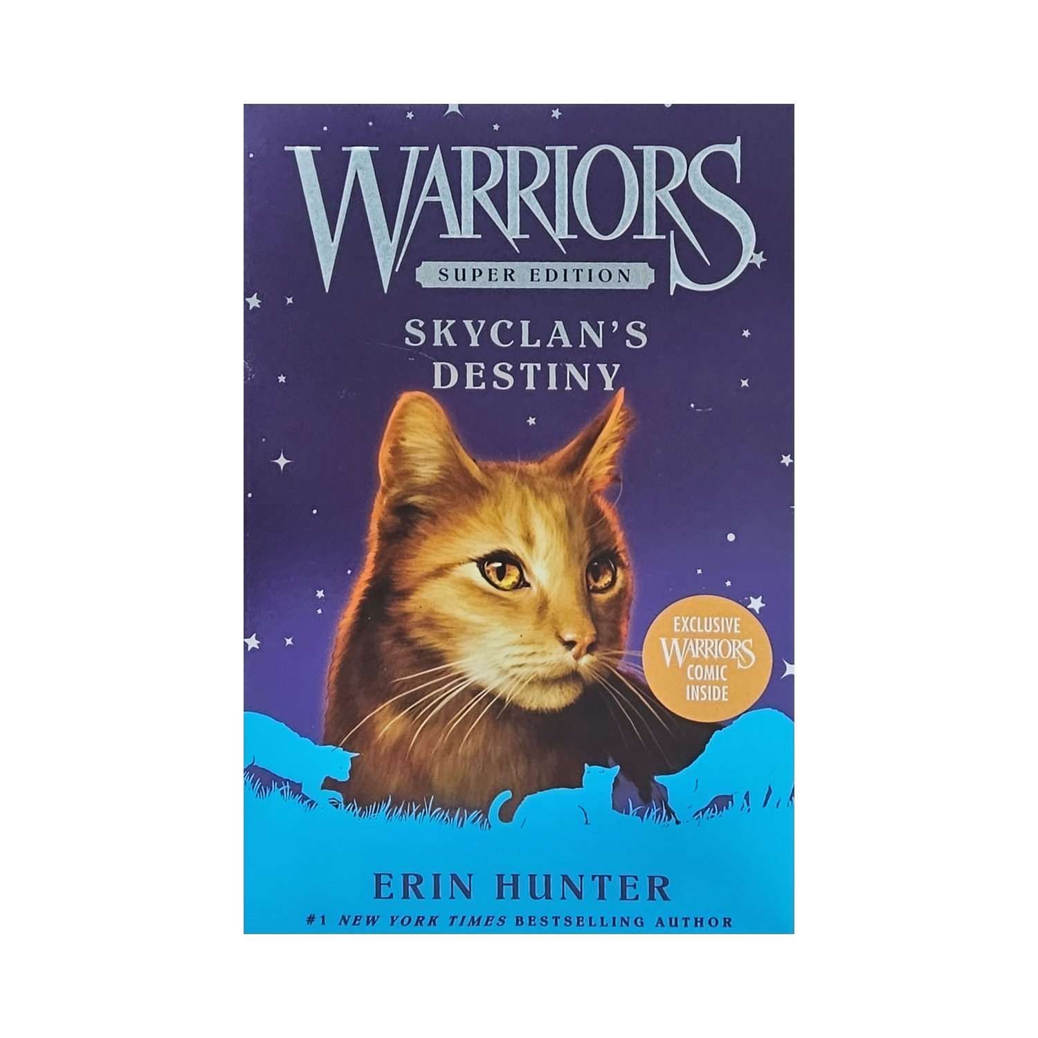 [�ĺ�:B��] Warriors Super Edition : Skyclan's Destiny (Paperback)