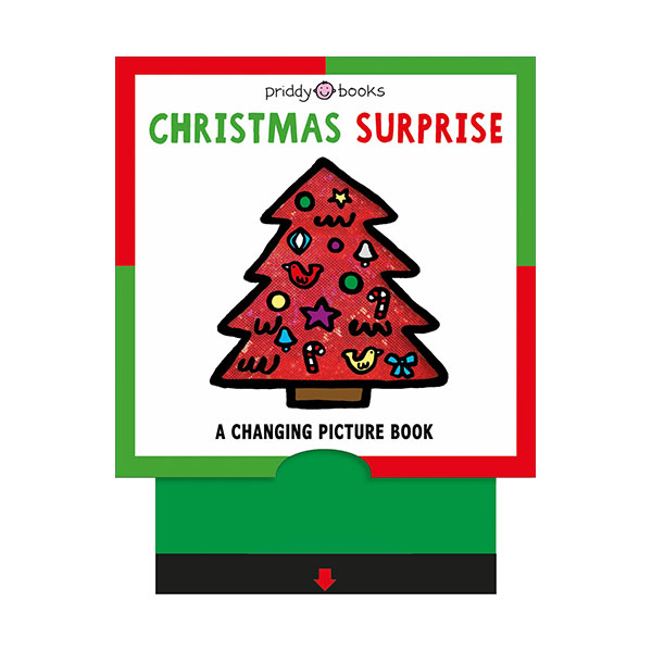 A Changing Picture Book : Christmas Surprise