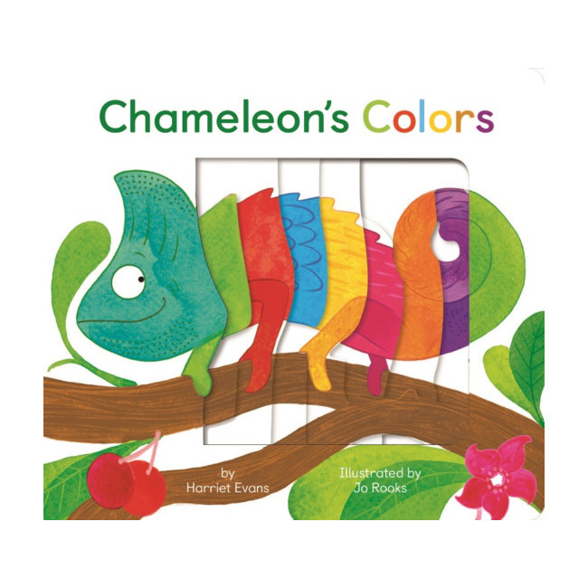 Chameleons Colours
