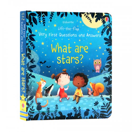 Usborne Lift the Flap : Very First Questions and Answers : What are Stars? (Board book, )