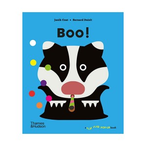 A Flip Flap Pop Up Book : Boo! (Hardcover, )