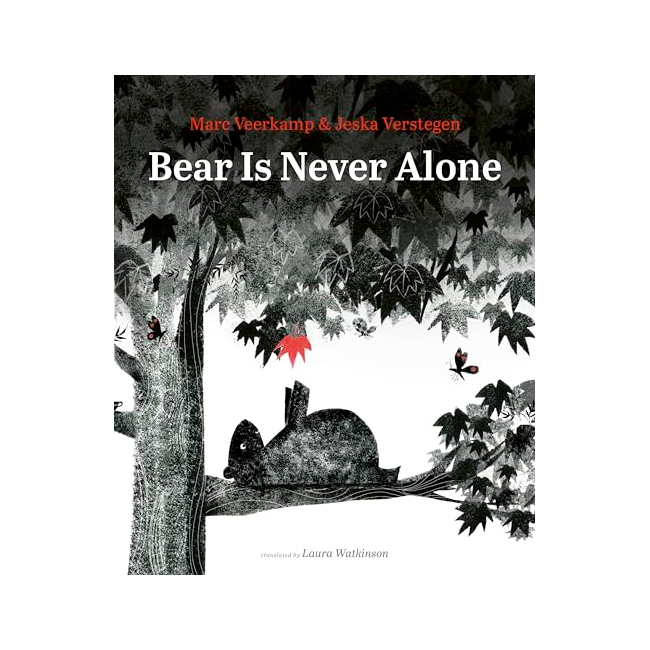 Bear Is Never Alone (Hardback, ̱)