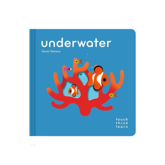 Touch Think Learn : Underwater