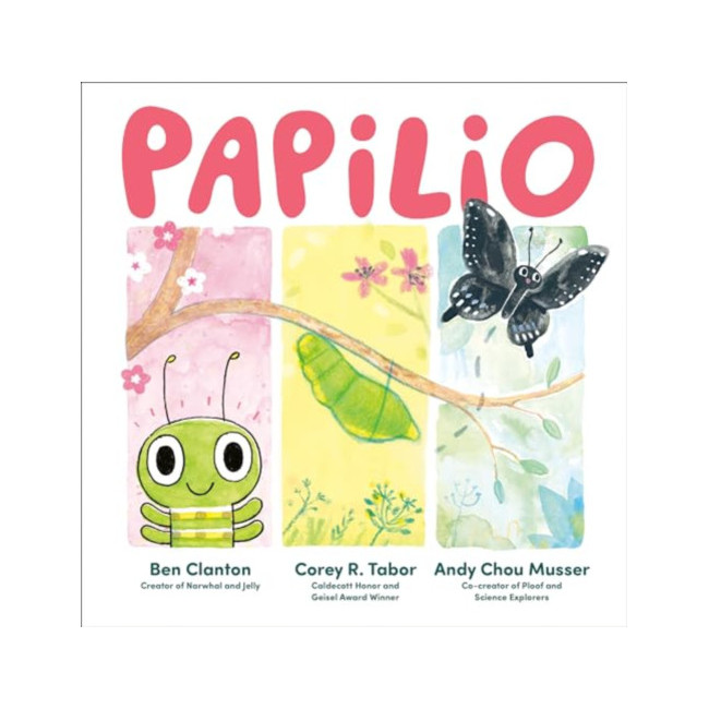 Papilio