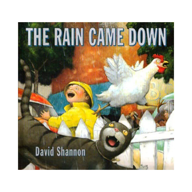 Rain Came Down