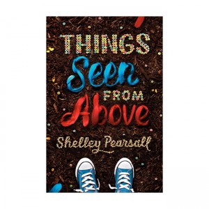 Things Seen from Above (Paperback)