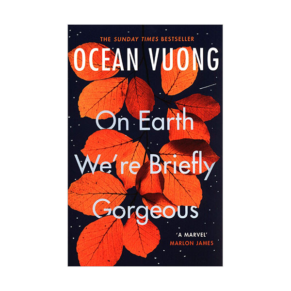 On Earth We're Briefly Gorgeous