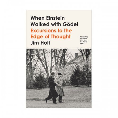 When Einstein Walked with Godel : νŸ  Բ   (Paperback)
