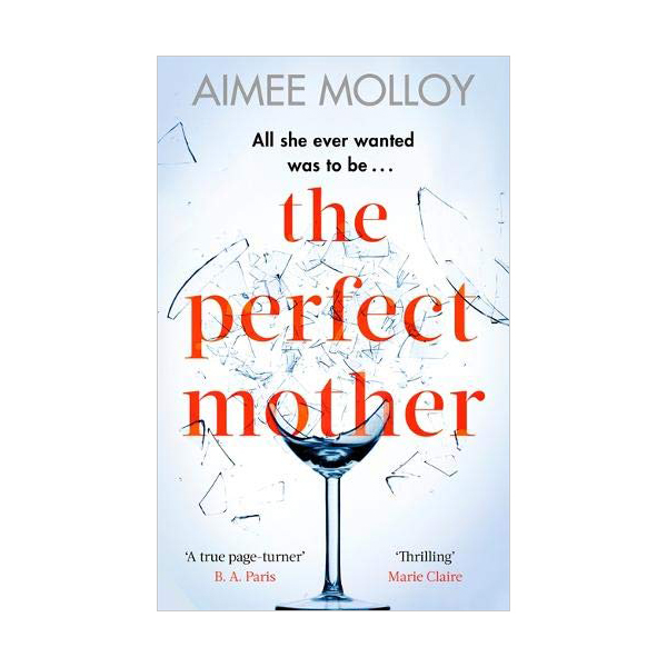 The Perfect Mother