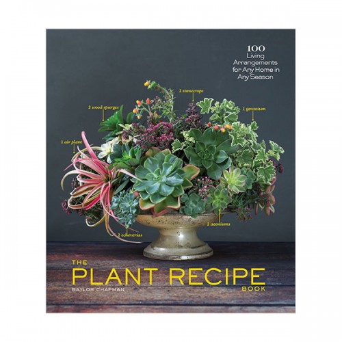 The Plant Recipe Book : 100 Living Centerpieces for Any Home in Any Season