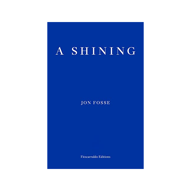 A Shining (Paperback, )