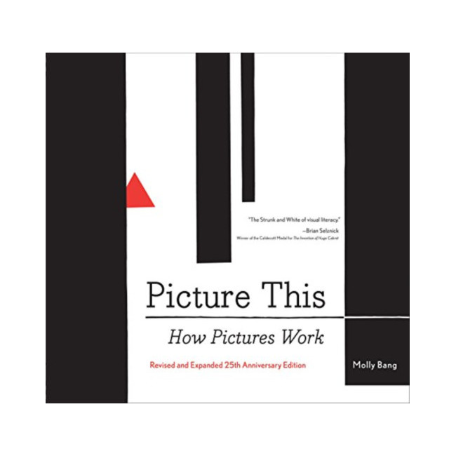 Picture This: How Pictures Work