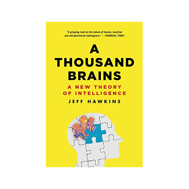 A Thousand Brains: A New Theory of Intelligence