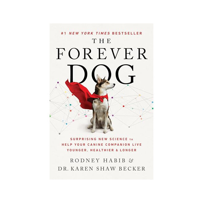 The Forever Dog 