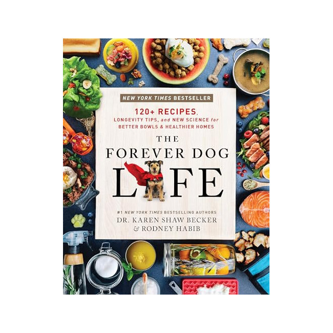 The Forever Dog Life 