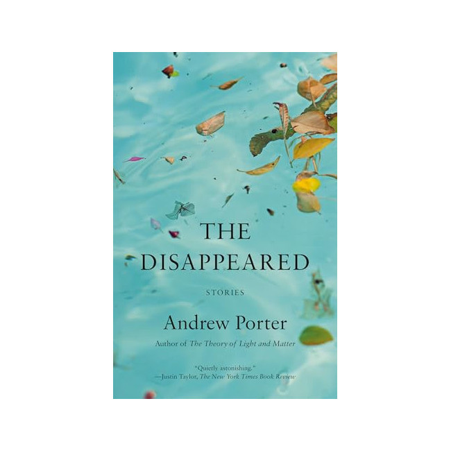 The Disappeared: Stories