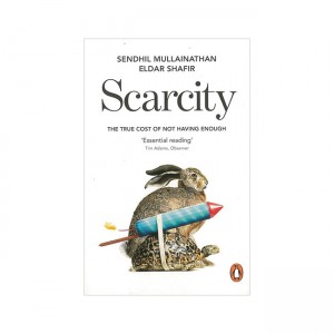 Scarcity: The True Cost of Not Having Enough