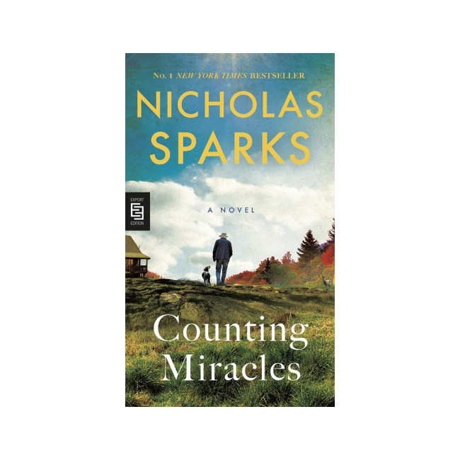 Counting Miracles: A Novel