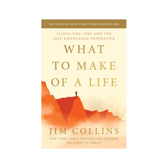 What to Make of a Life