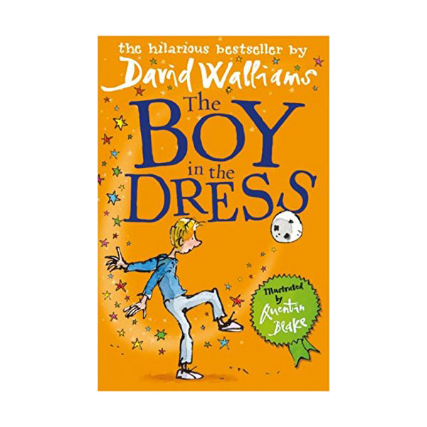 The Boy in the Dress (Paperback,)