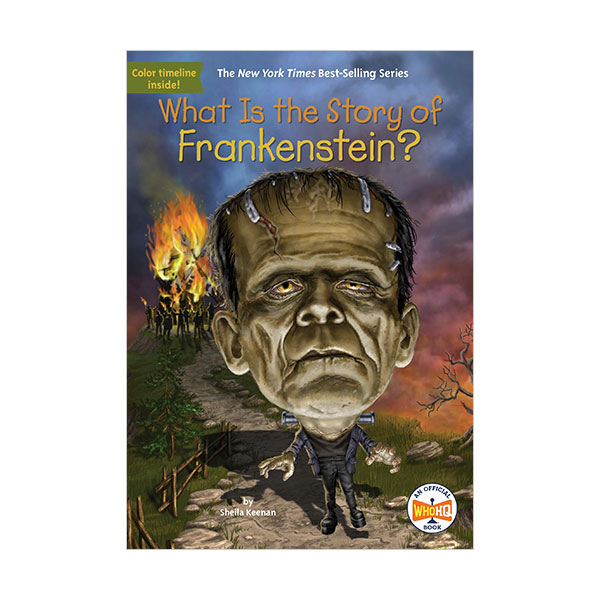 What Is the Story of Frankenstein?