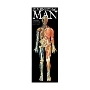Dimensional Man (Paperback)