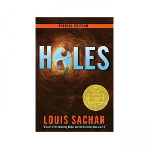 [1999 ] Holes :  (Paperback)