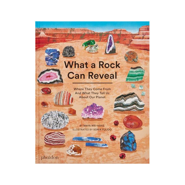 What a Rock Can Reveal : Where They Come from and What They Tell Us About Our Planet